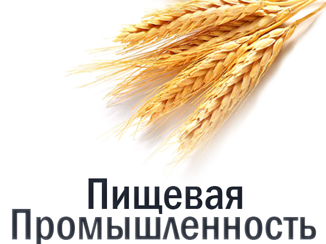 Пищевая промышленность